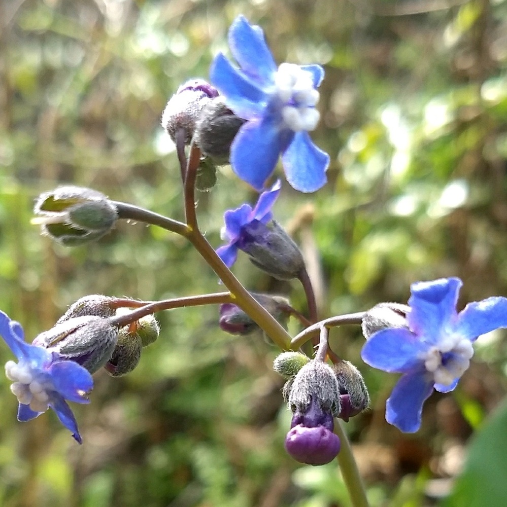 Meet your Posher, Malia